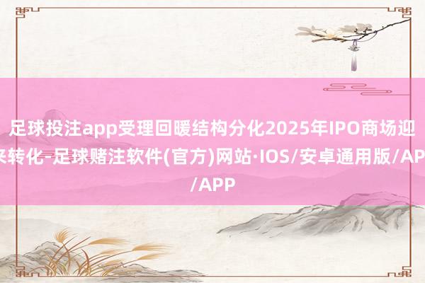 足球投注app受理回暖结构分化2025年IPO商场迎来转化-足球赌注软件(官方)网站·IOS/安卓通用版/APP