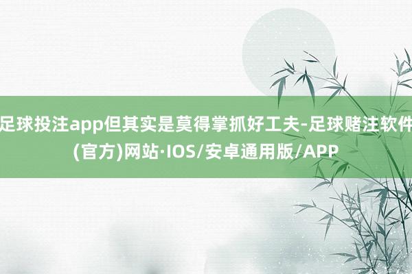 足球投注app但其实是莫得掌抓好工夫-足球赌注软件(官方)网站·IOS/安卓通用版/APP